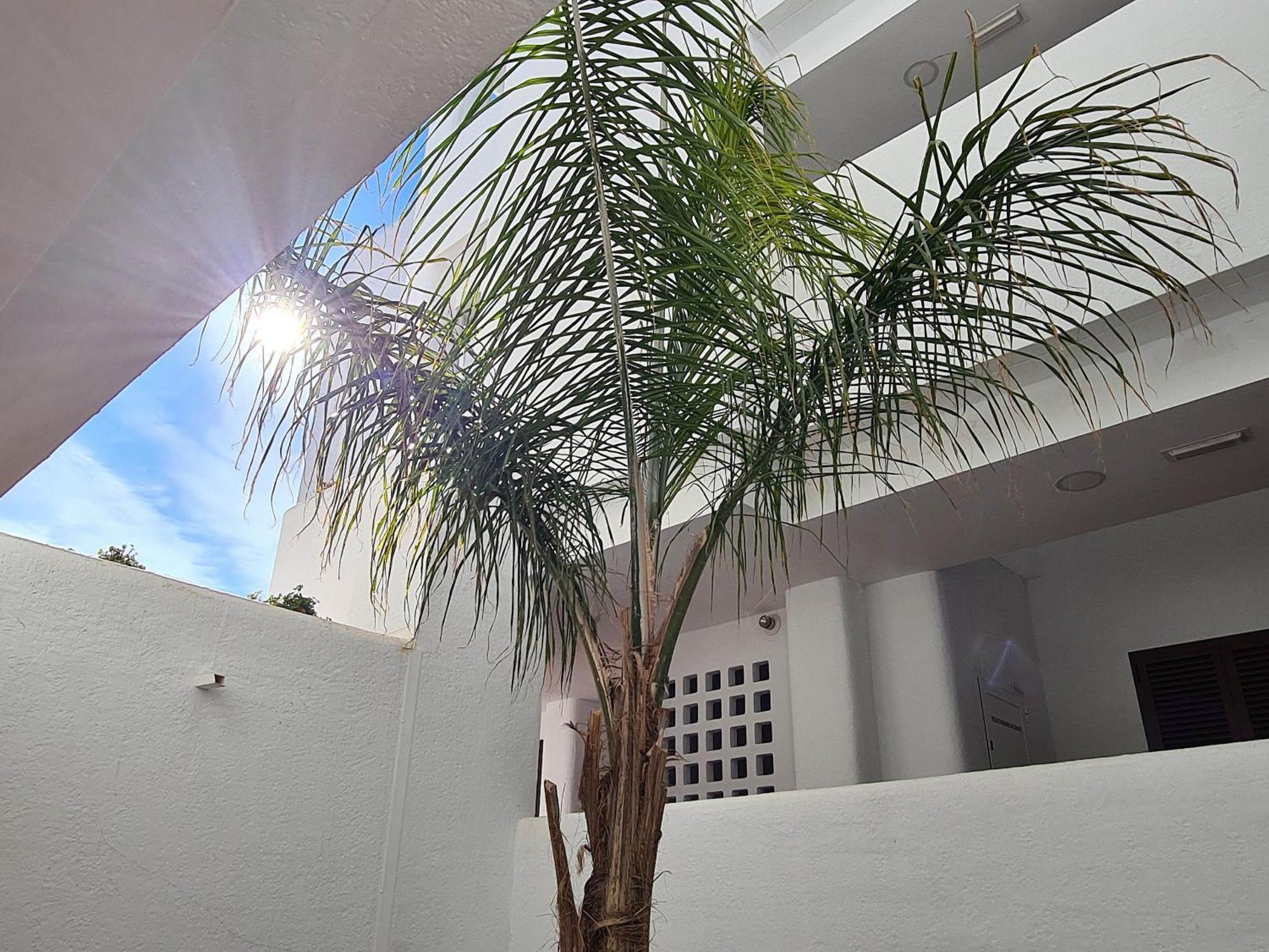 El Sueno Apartment San Juan De Los Terreros Exterior photo